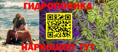 амф Малгобек